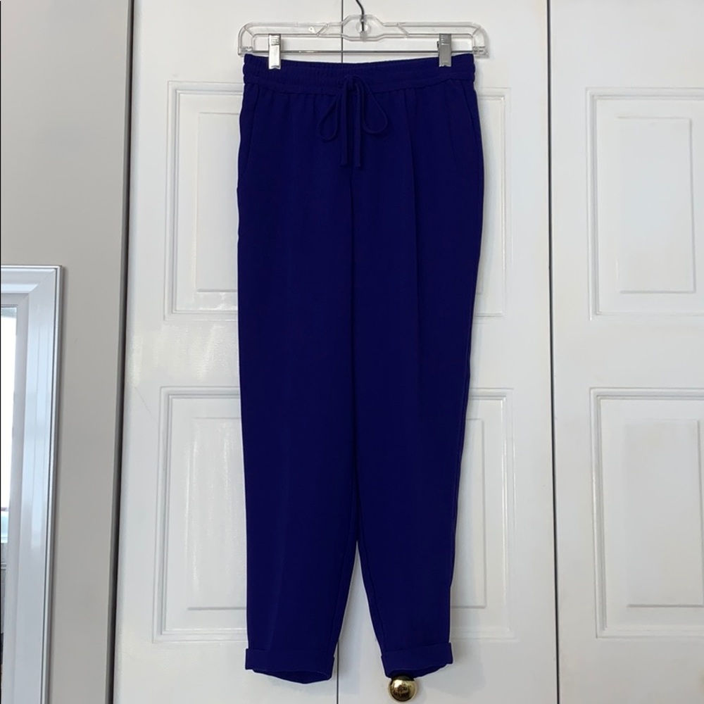 J Crew Cropped Jogger Style Pants